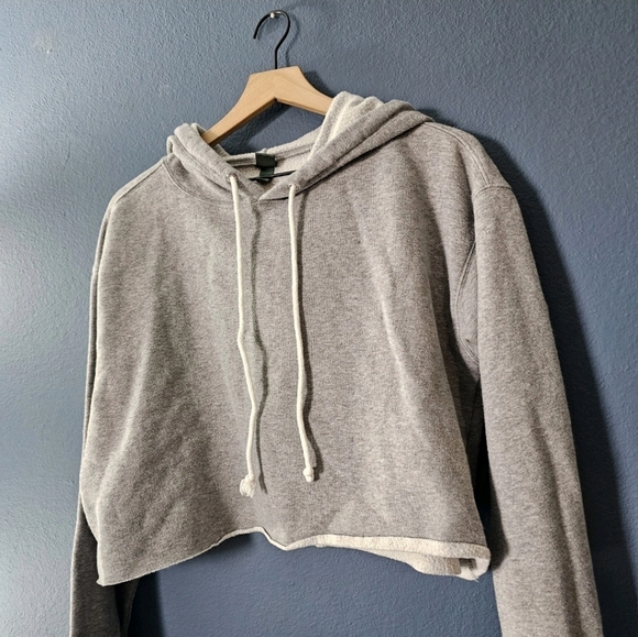 Wild Fable • Grey Cropped Hoodie - Picture 3 of 9